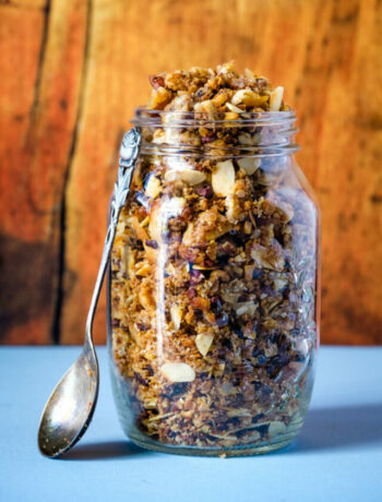 cropped-granola-lectin-free-7-e1663746177134.jpg