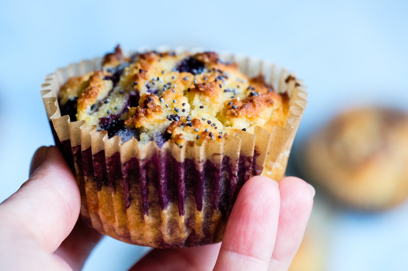 Grain free, sugar free, lectin free muffins with lemon and blueberries