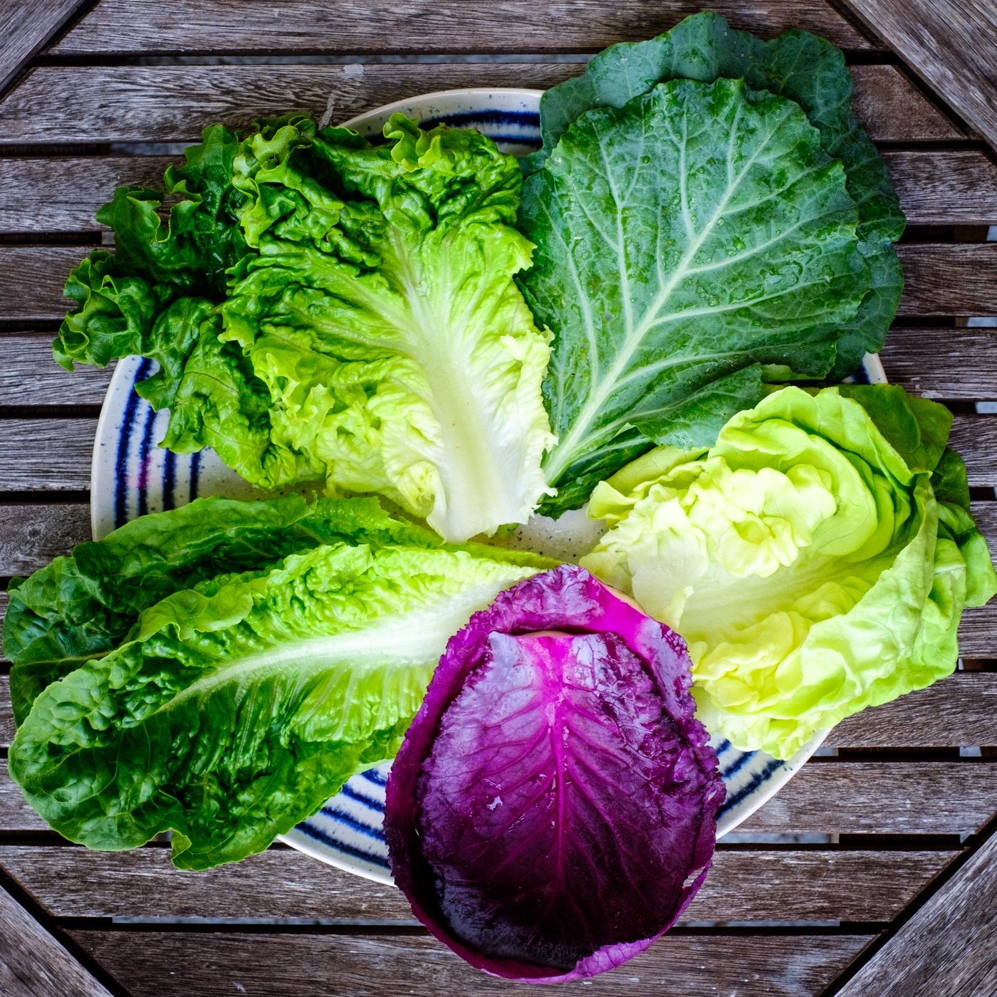 Leaves of most lettuces, cabbage, and leafy greens are great wrap alternatives