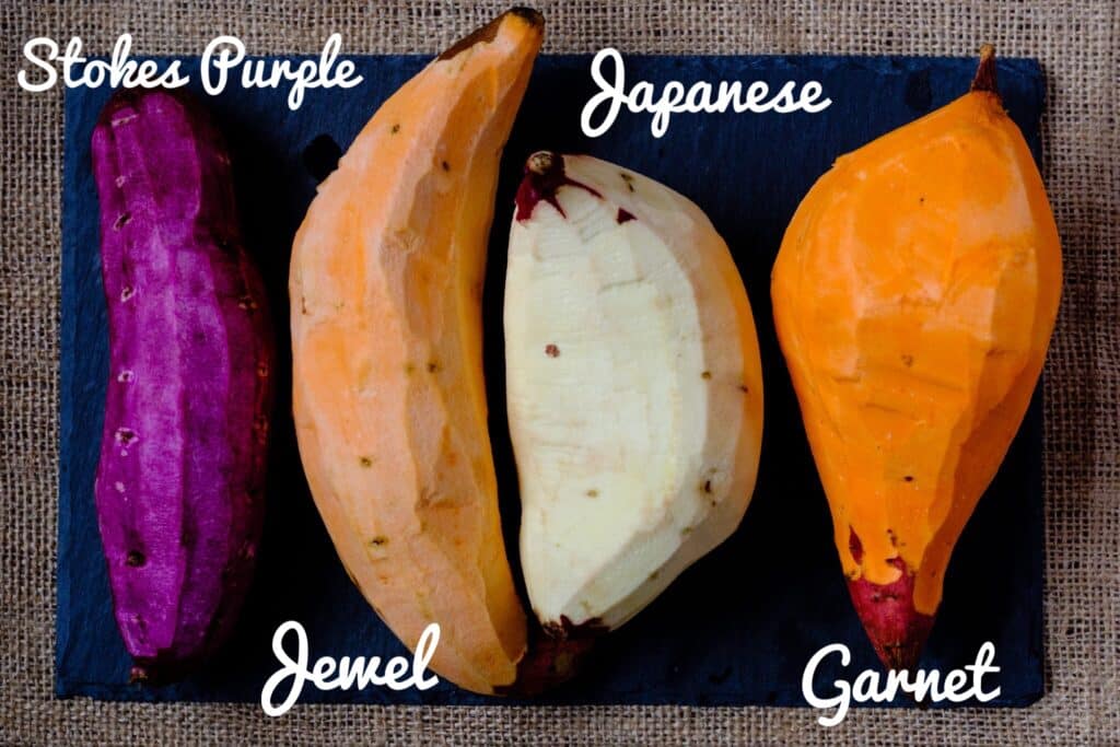 four types of sweet potatoes
