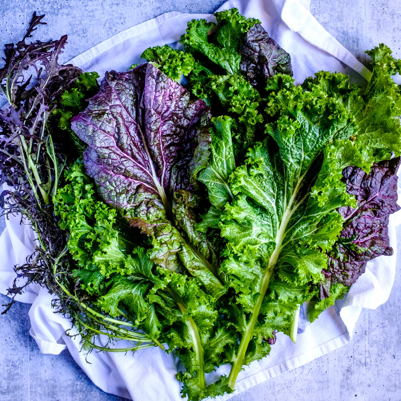 Collard greens, Swiss chard and spinach for the saag paneer