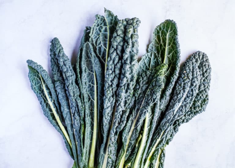 Lacinato Kale Pesto, Your New Favorite Green Sauce Creative in My Kitchen