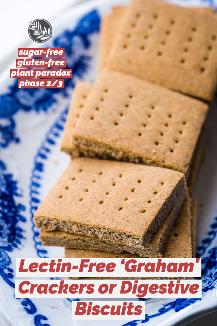 SugarFree Graham Crackers or Digestive Biscuits Recipe Creative in My Kitchen