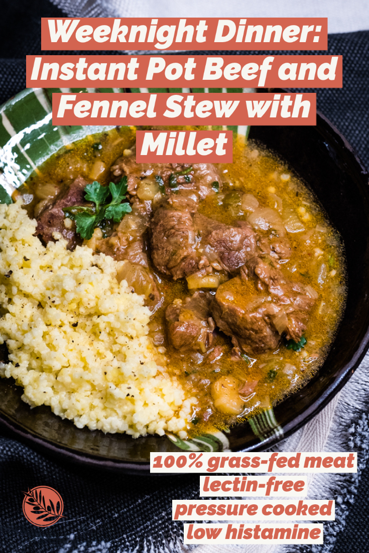 Easy Beef Stew with Fennel, in a Pressure Cooker Creative in My Kitchen