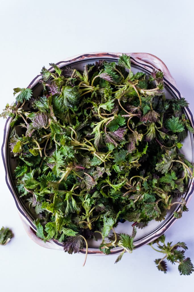 Fresh nettles on a plate