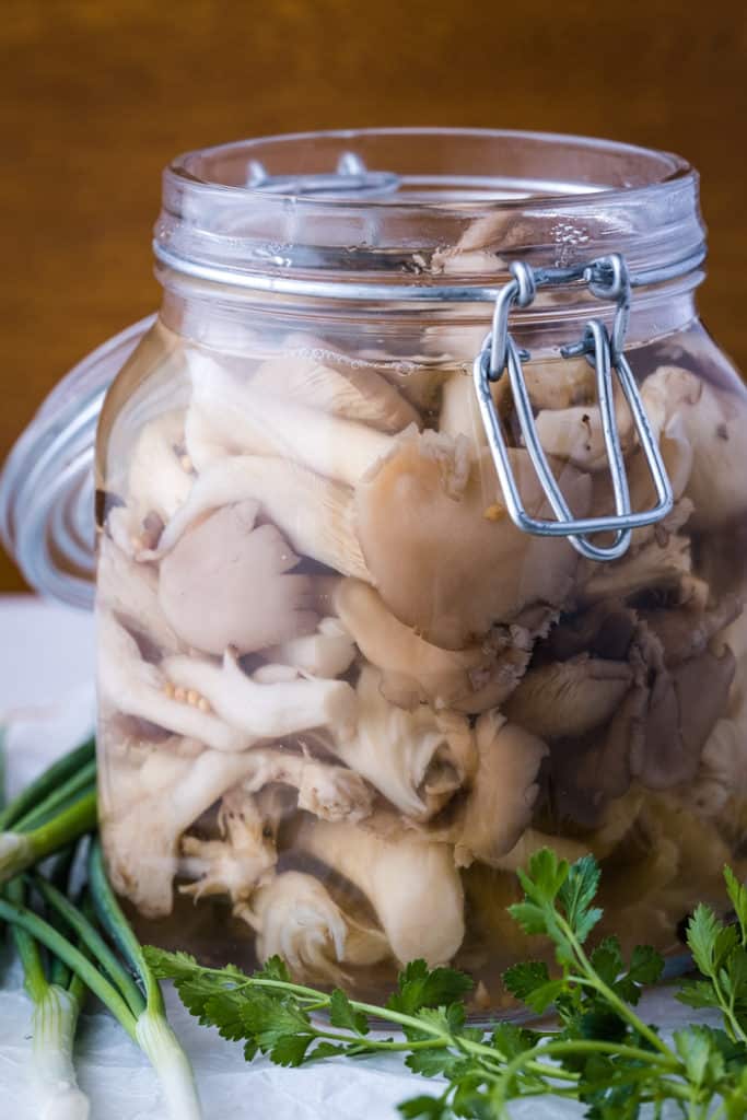 Pickled oyster mushroom salad in a jar