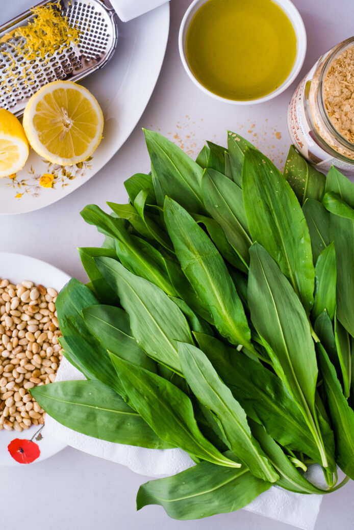 Wild Garlic Pesto