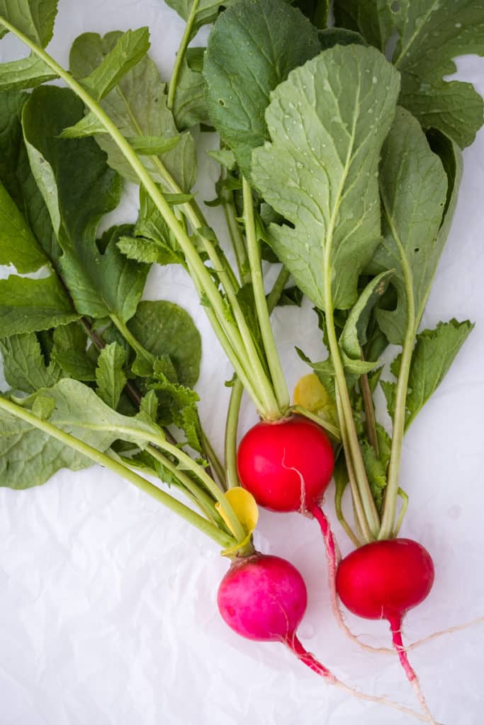 Easy Radish Greens Pesto