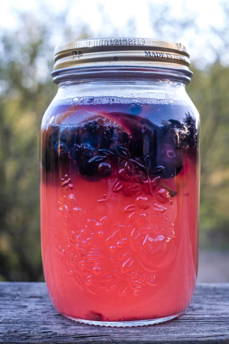 GlutenFree Sourdough Starter With Millet, Teff, and Flour