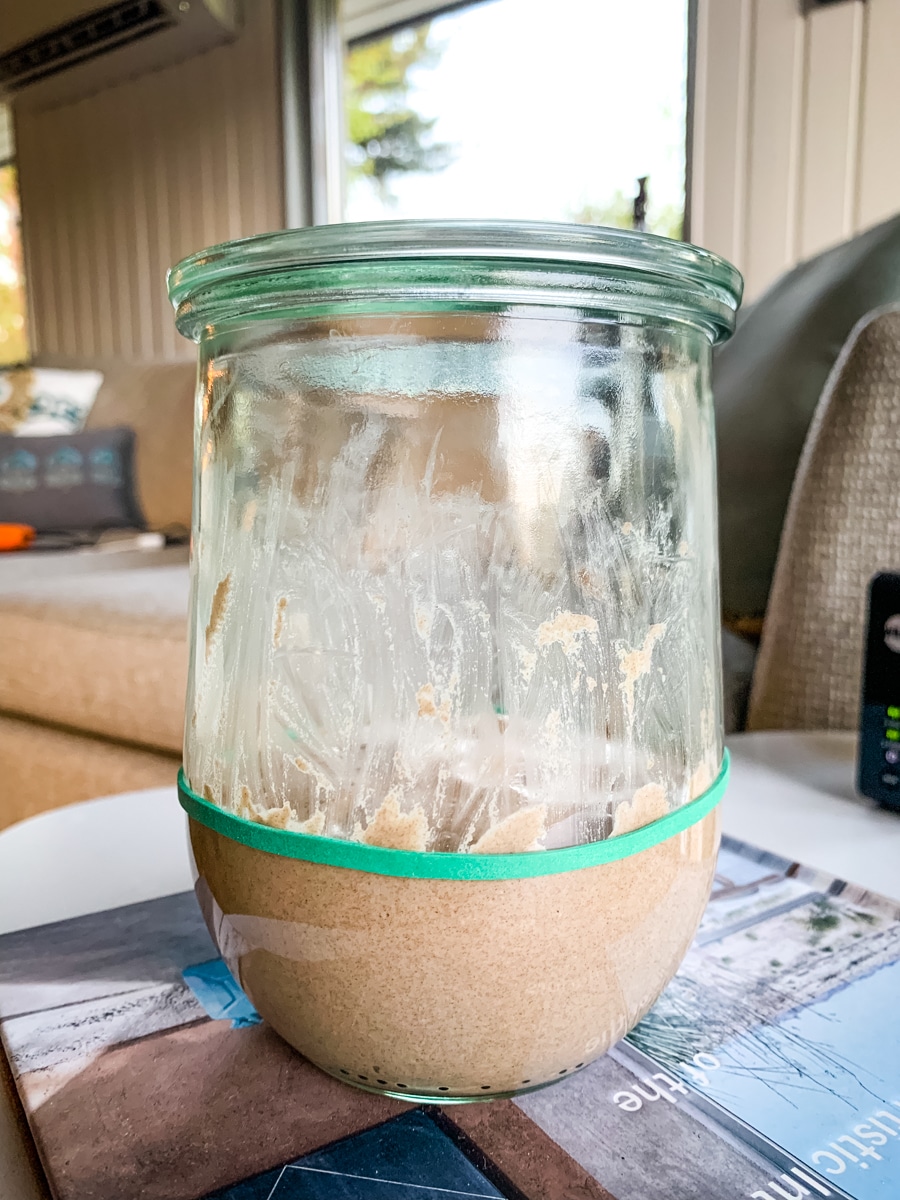 GlutenFree Sourdough Starter With Millet, Teff, and Flour