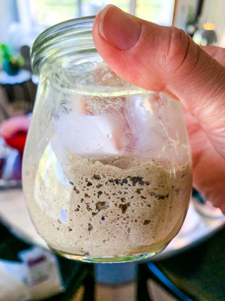 GlutenFree Sourdough Starter With Millet, Teff, and Flour