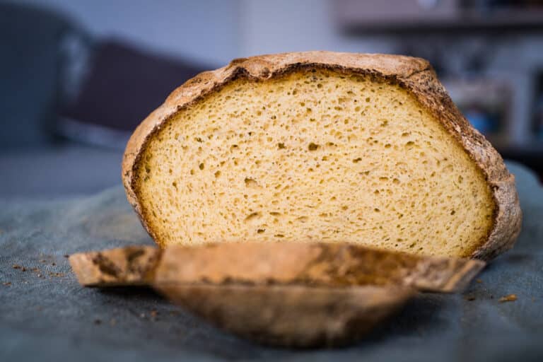 GlutenFree Sourdough Starter With Millet, Teff, and Flour