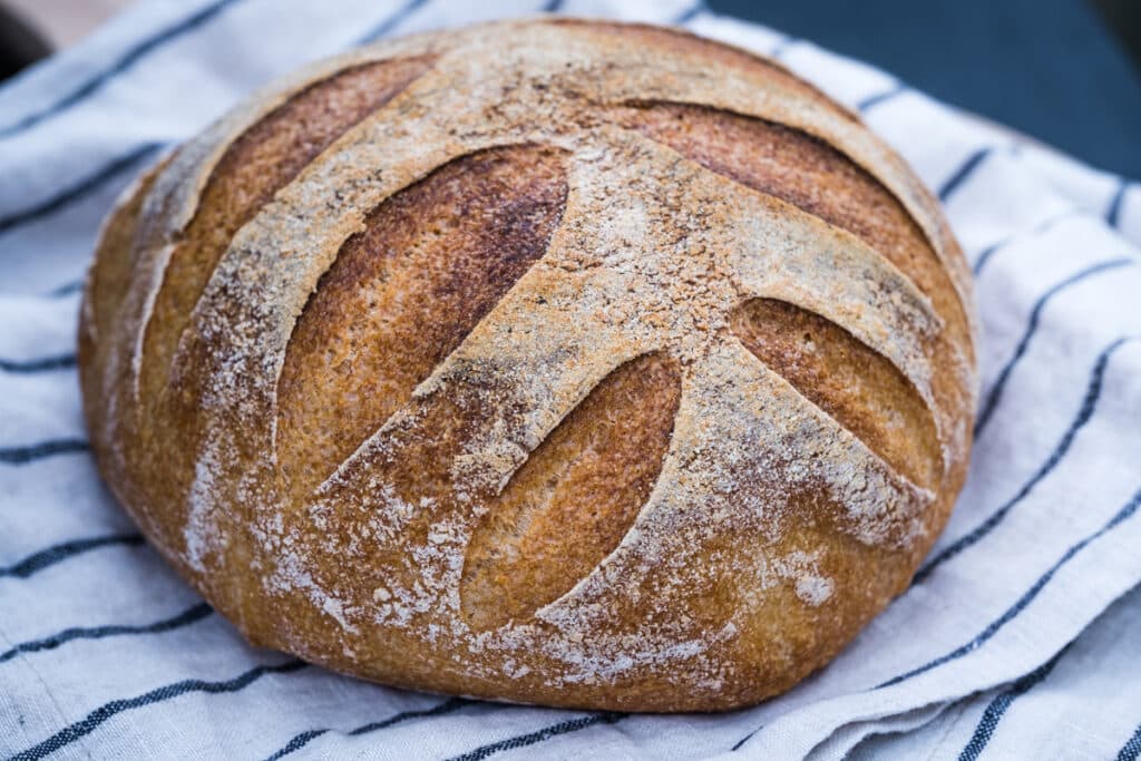 Gluten free sourdough bread fresh baked out of the oven. It looks absolutely delicious.