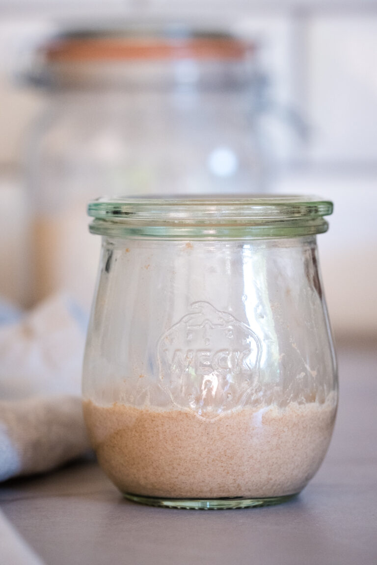 GlutenFree Sourdough Starter With Millet, Teff, and Flour