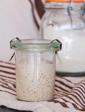 gluten free sourdough starter in a jar