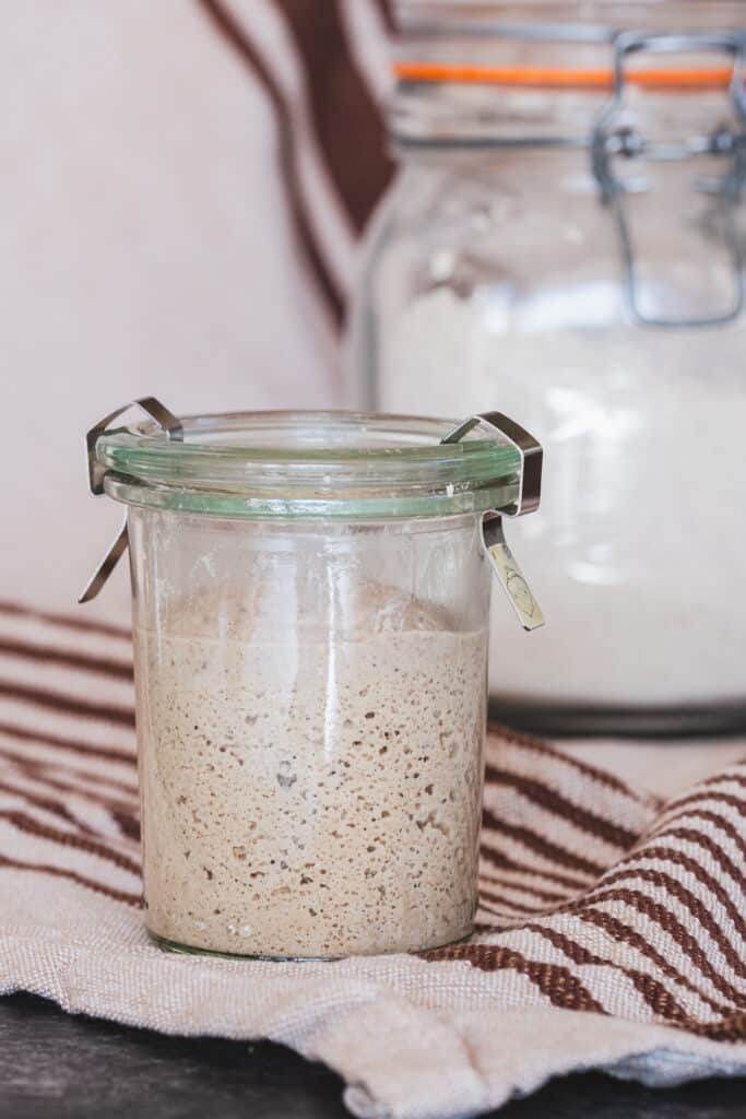 Gluten-free sourdough starter in a jar.