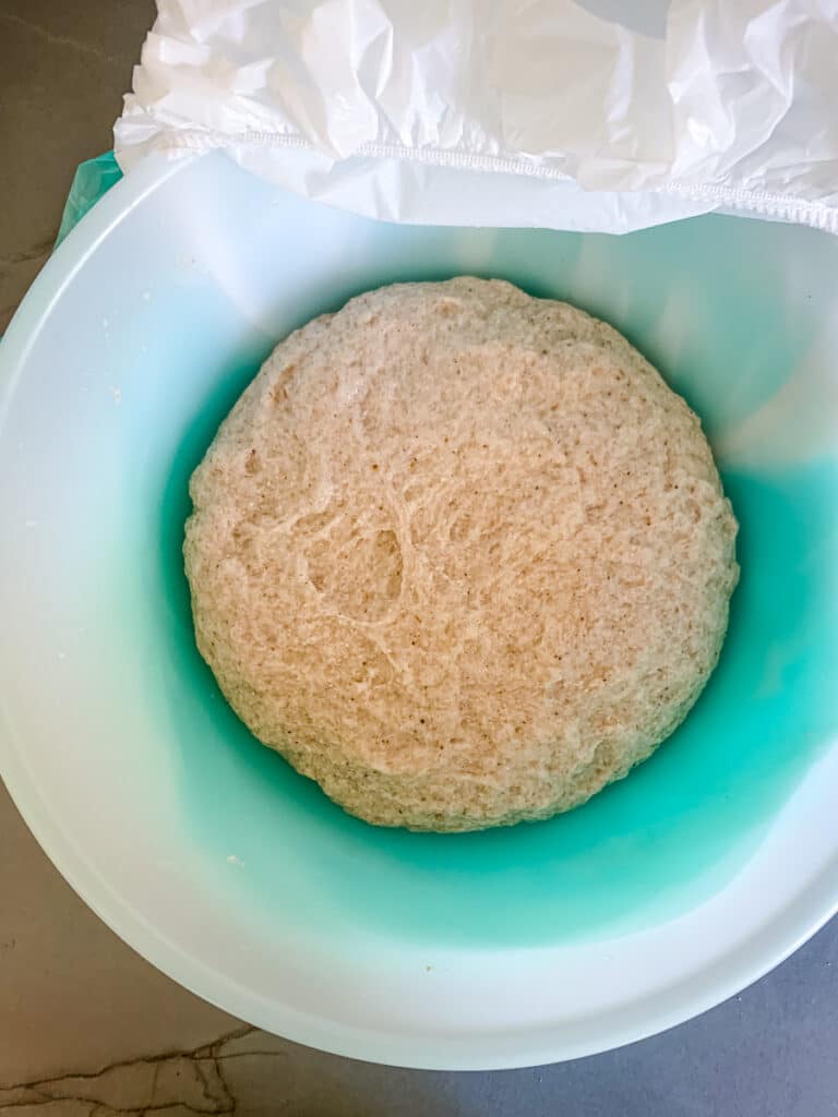 Dough after bulk fermentation