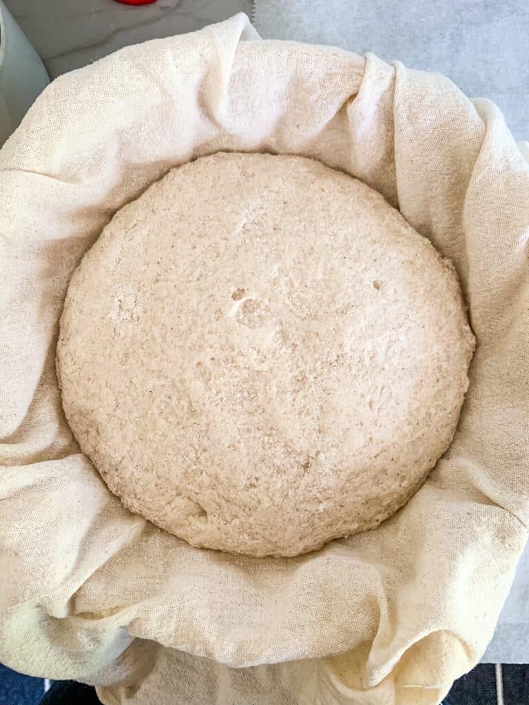 Dough after proofing