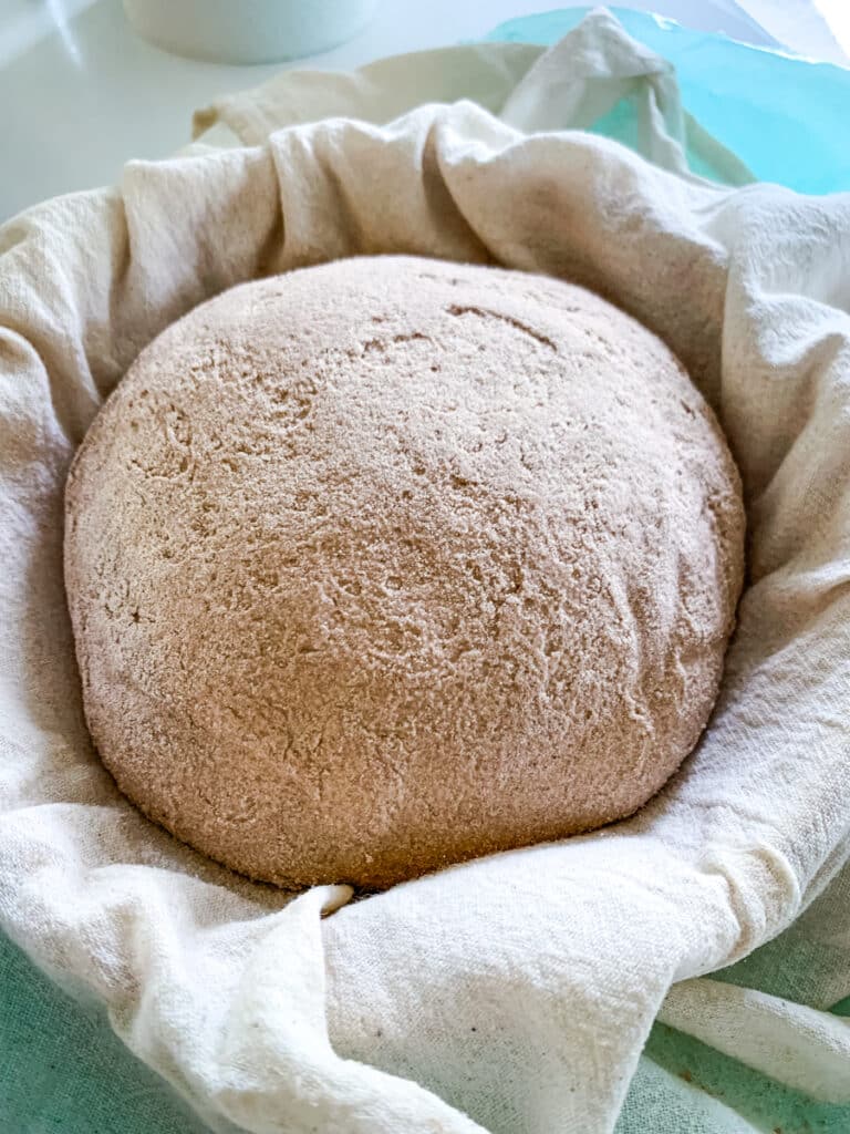 Over-proofed dough