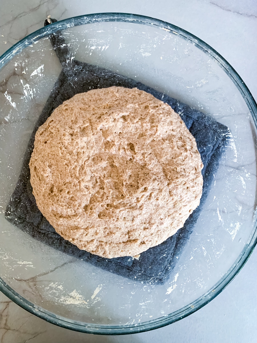 Rustic Sourdough Rolls With Teff, Millet, and (LectinFree