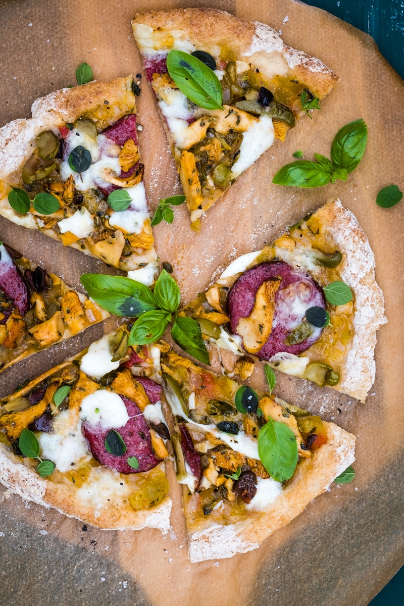 sourdough pizza crust with millet and sorghum gluten-free lectin-free