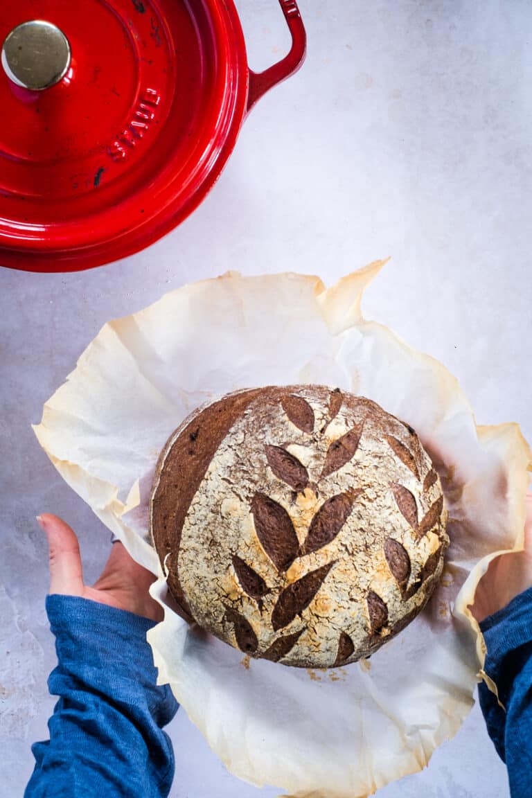 GlutenFree Sourdough Starter With Millet, Teff, and Flour