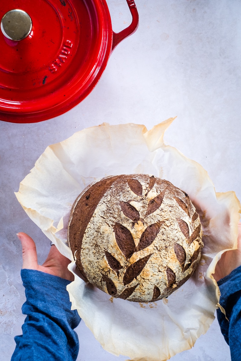 GlutenFree Sourdough Starter With Millet, Teff, and Flour