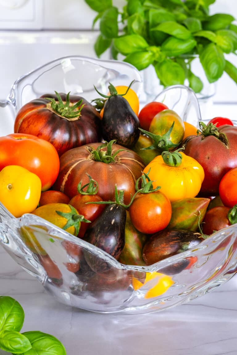Lectins in Tomatoes How to Enjoy Tomatoes on a LectinFree Diet