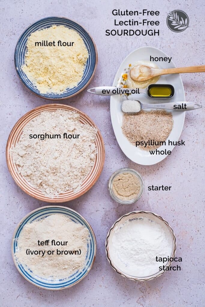 ingredients for gluten-free sourdough bread