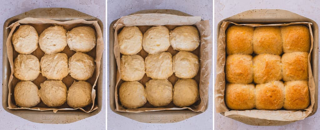 The three stages for the rolls: right after shaping, proofing, and baking.