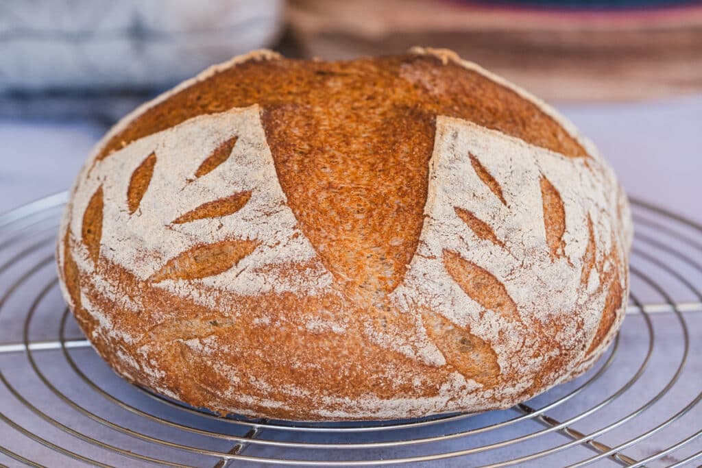 whole loaf of teff sourdough bread on a cooling rack