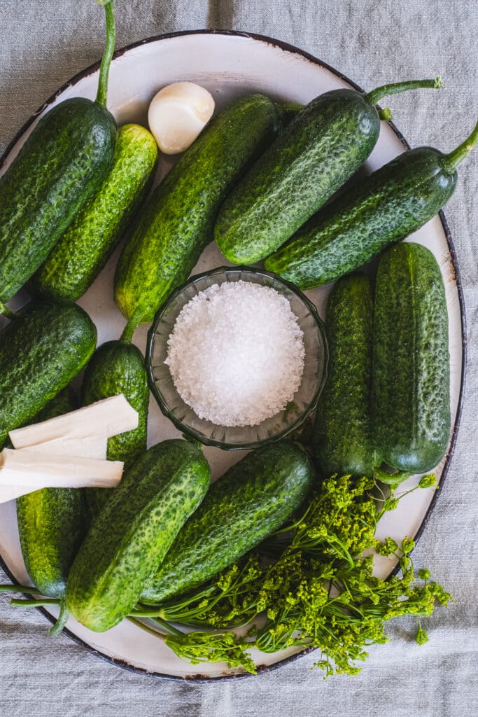 The ingredients needed to make fermented dill pickles.