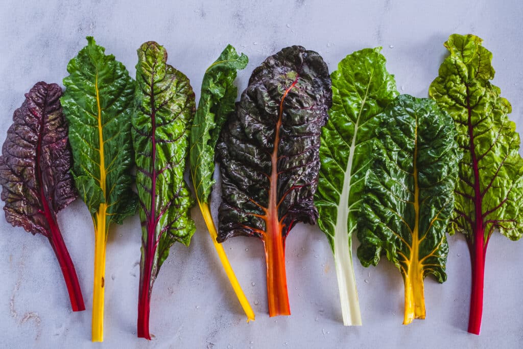 Rainbow chard leaves placed side by side.