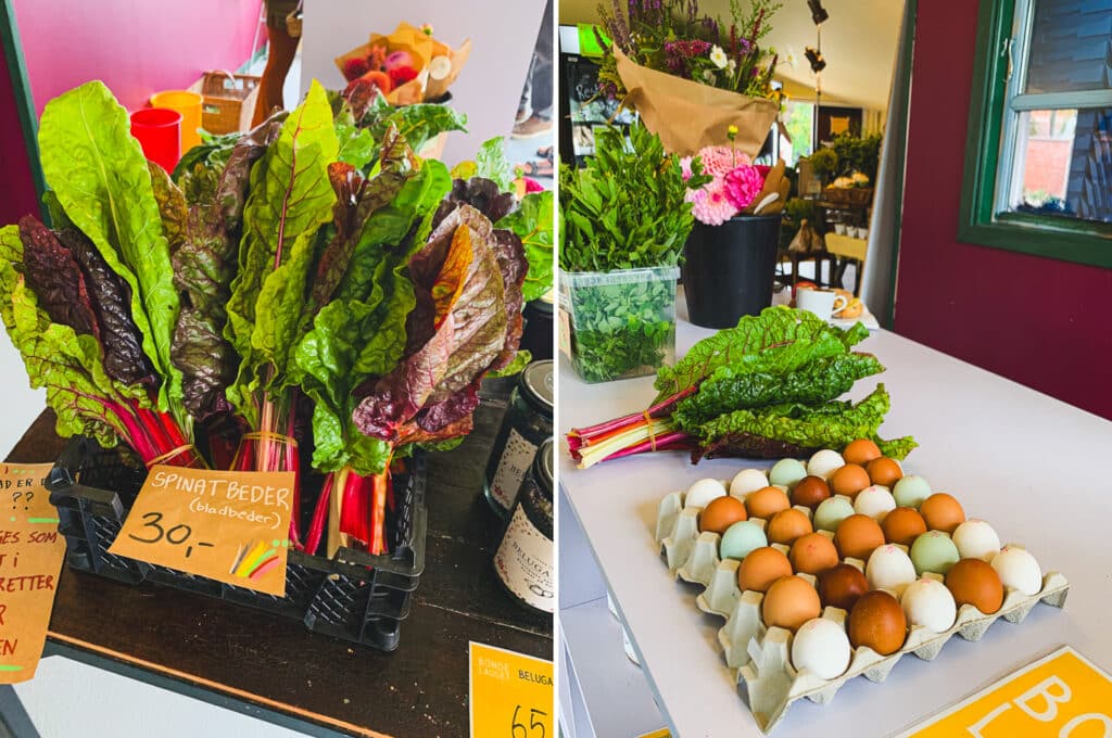 Beautiful organic rainbow chard and colorful pasture-raised eggs.