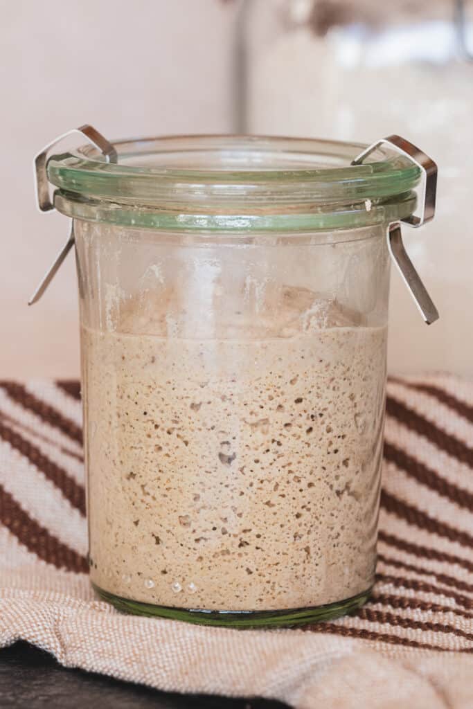 gluten free sourdough starter